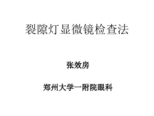 裂隙灯显微镜检查法