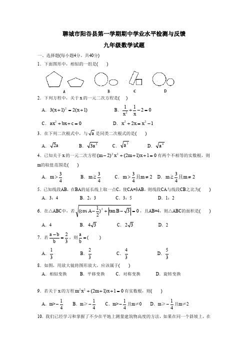 聊城市阳谷县第一学期九年级期中学业水平检测与反馈.doc