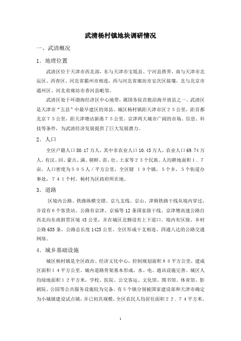 【精品】(最新)武清杨村镇泉旺路地块调研报告