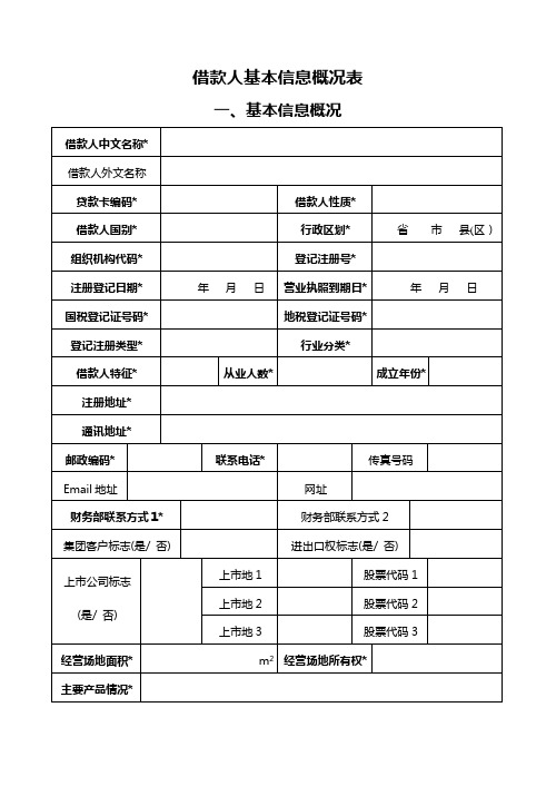 借款人基本信息概况表