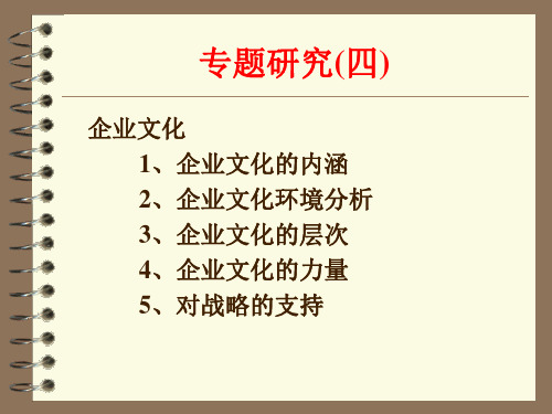 7战略管理讲义(幻灯片)中文版