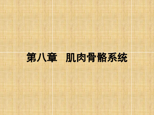 肌肉骨骼疾病超声诊断ppt课件