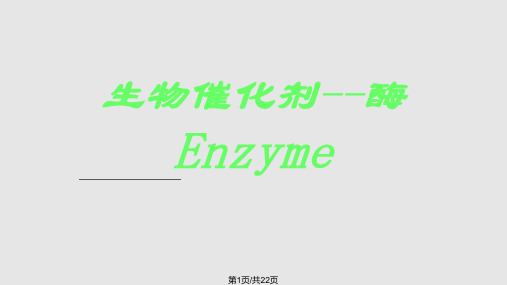 生物催化剂——酶PPT课件