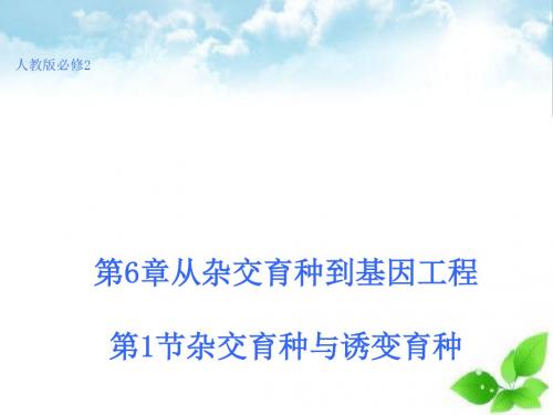 【生物】6.1  杂交育种与诱变育种 ppt课件1(必修2)