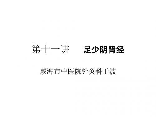 第十一讲肾经