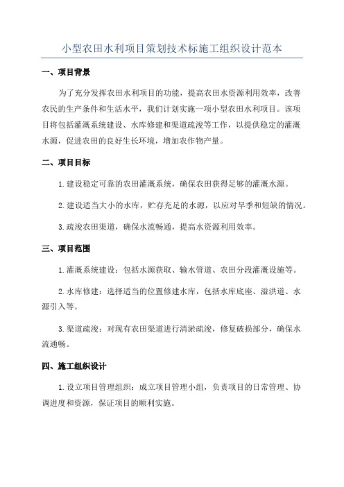 小型农田水利项目策划技术标施工组织设计范本