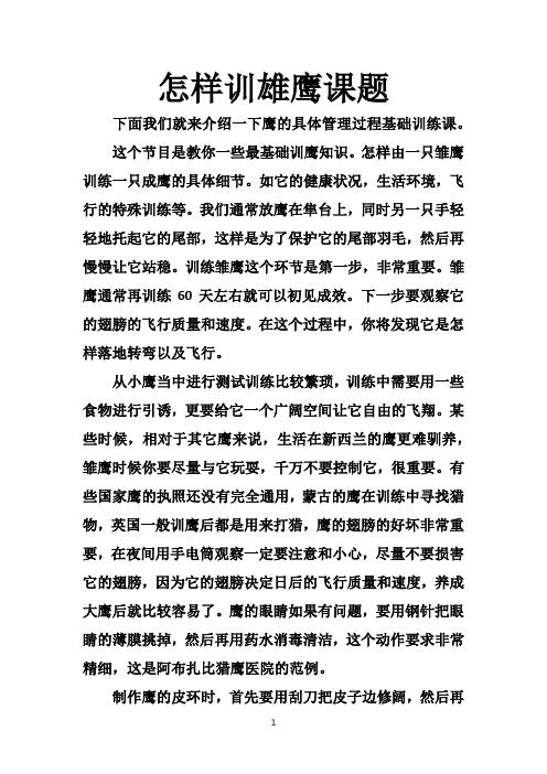 怎样训雄鹰课题