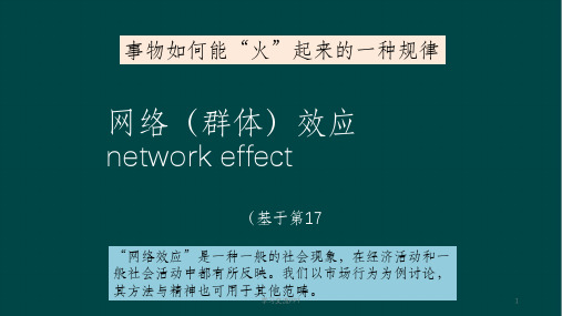 网络群体与市场 第17章 网络(群体)效应课件