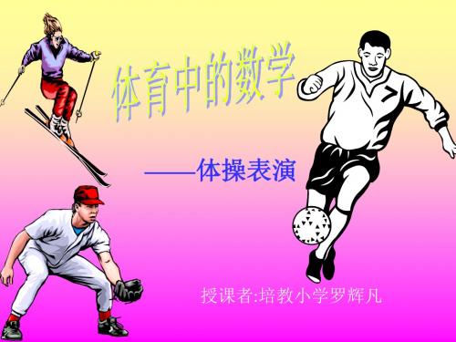 体育中的数学