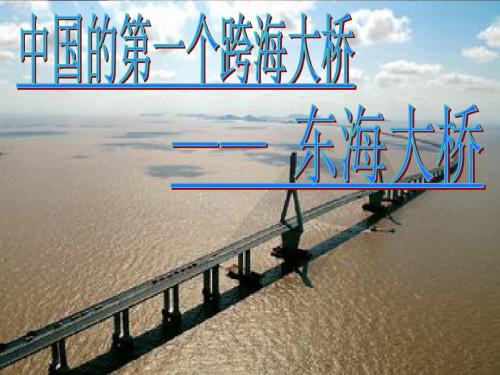 如长虹飞卧于陆地与小洋山之间的东海大桥是我国首座外海及方案资料