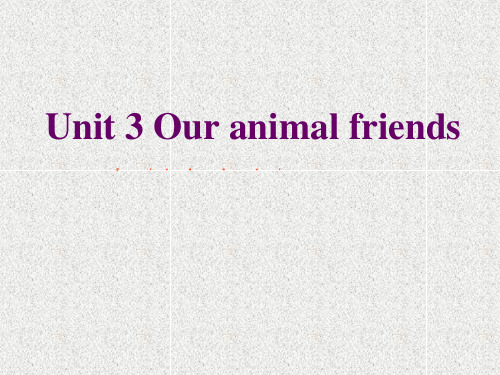 牛津深圳版英语七下Unit 3《Our animal friends》ppt课件7