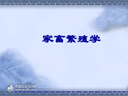 睾丸和阴囊