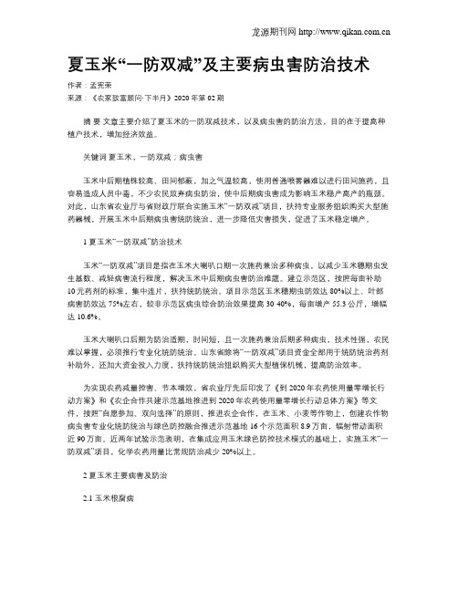 夏玉米“一防双减”及主要病虫害防治技术