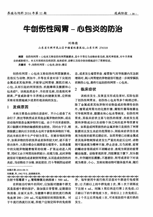 牛创伤性网胃-心包炎的防治