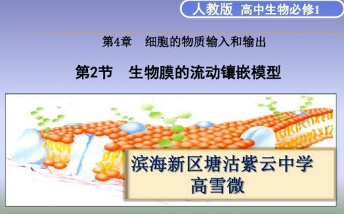 高雪微 天津市滨海新区塘沽紫云中学