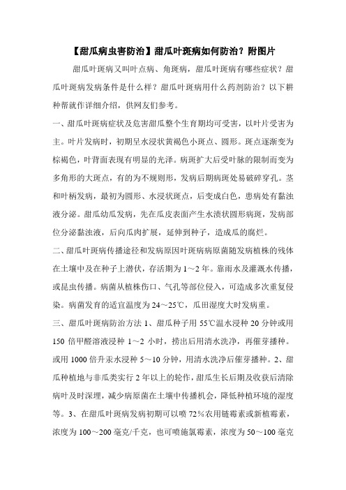 【甜瓜病虫害防治】甜瓜叶斑病如何防治？附图片
