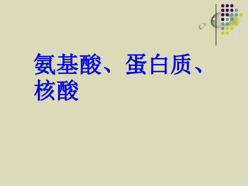 氨基酸、蛋白质、核酸PPT下载1