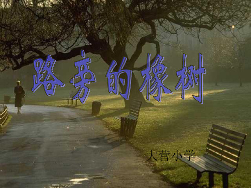 路旁的橡树PPT课件