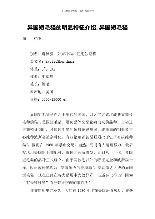 异国短毛猫的明显特征介绍,异国短毛猫