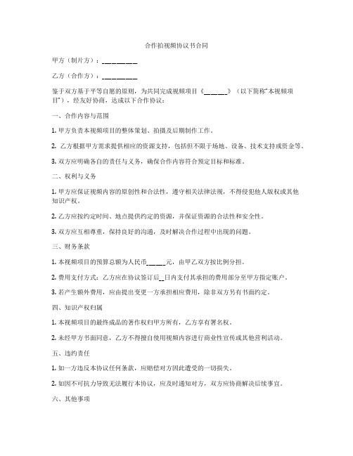 合作拍视频协议书合同