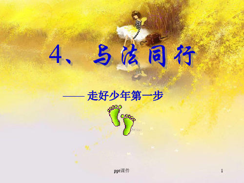 与法同行  ppt课件