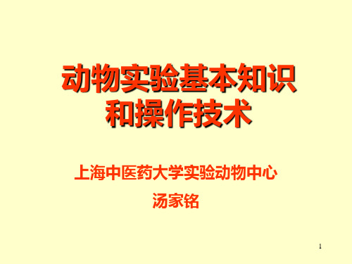 动物实验的基本技术和方法PPT课件
