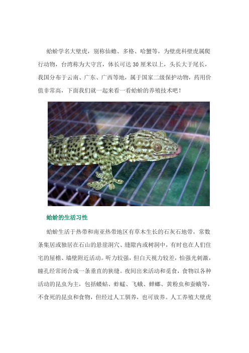 特种养殖：蛤蚧的养殖技术