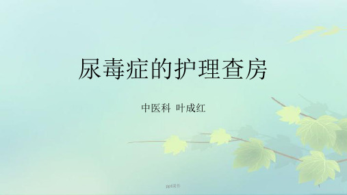 尿毒症的护理查房  ppt课件