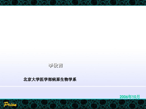 《阮病毒介绍》PPT课件