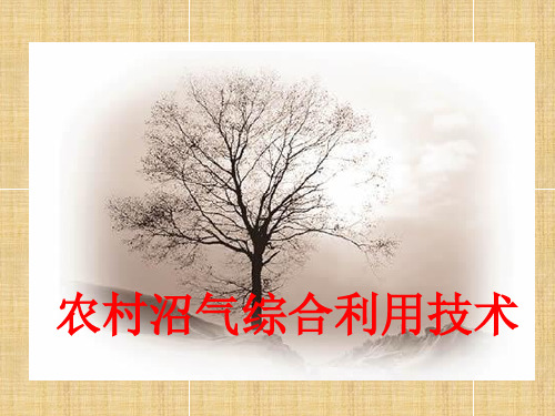 农村沼气综合利用技术.-.200741791441