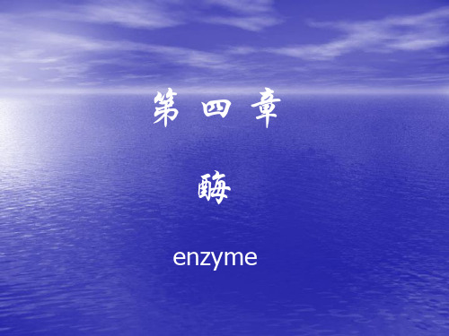 《生物化学》课件——酶(人卫版)