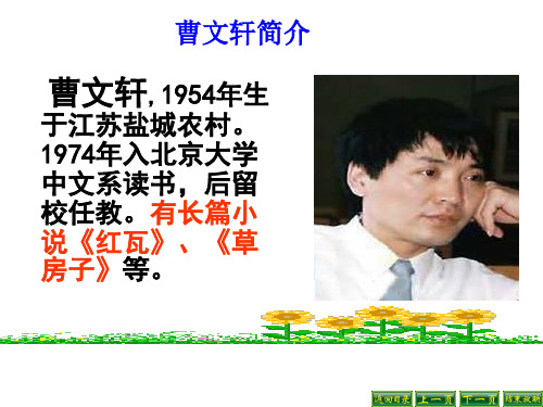 孤独之旅曹文轩ppt