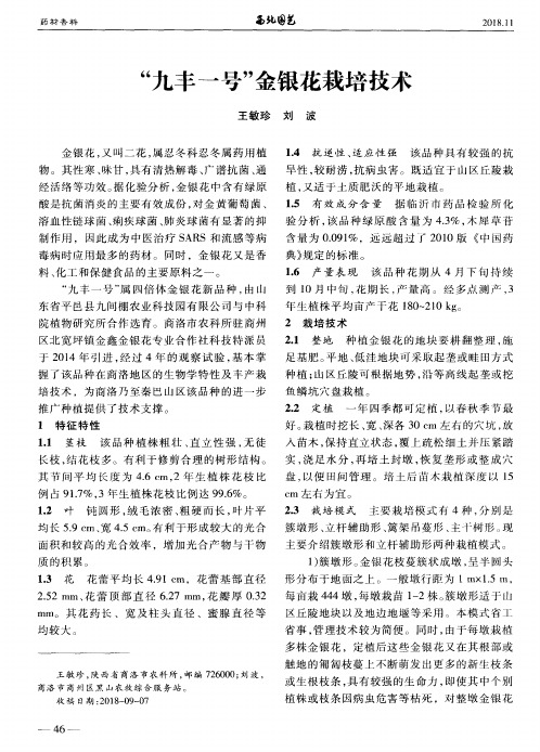 “九丰一号”金银花栽培技术