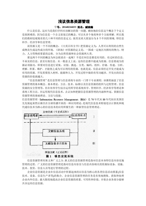 浅议信息资源管理