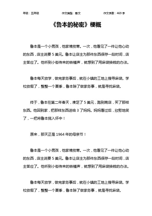 《鲁本的秘密》梗概作文【小学五年级500字】