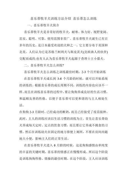 喜乐蒂牧羊犬训练方法介绍 喜乐蒂怎么训练