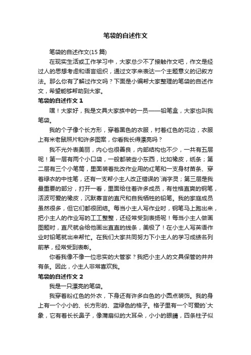 笔袋的自述作文
