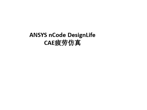 ANSYS nCode DesignLife CAE疲劳仿真