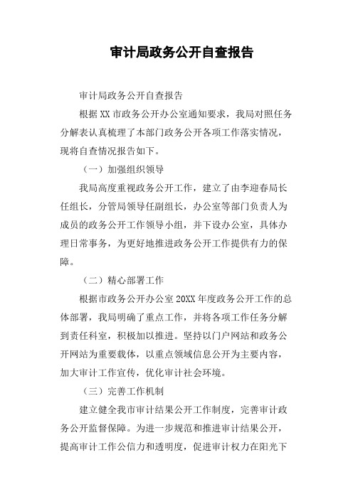 审计局政务公开自查报告