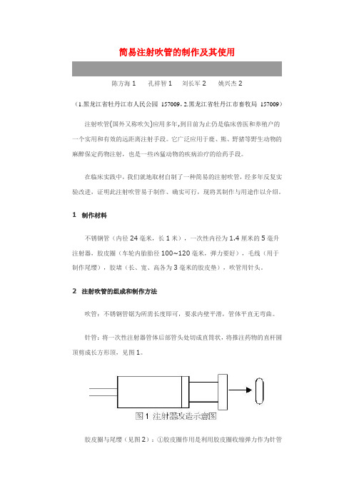 简易注射吹管的制作及其使用
