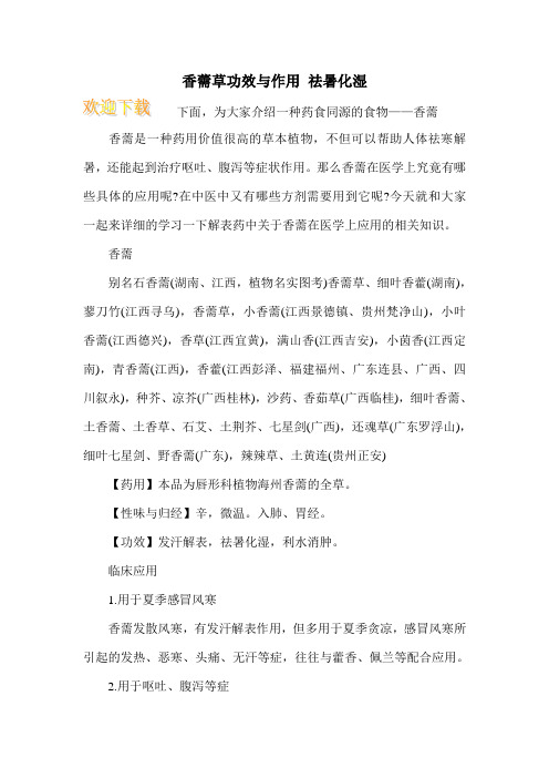 香薷草功效与作用 祛暑化湿