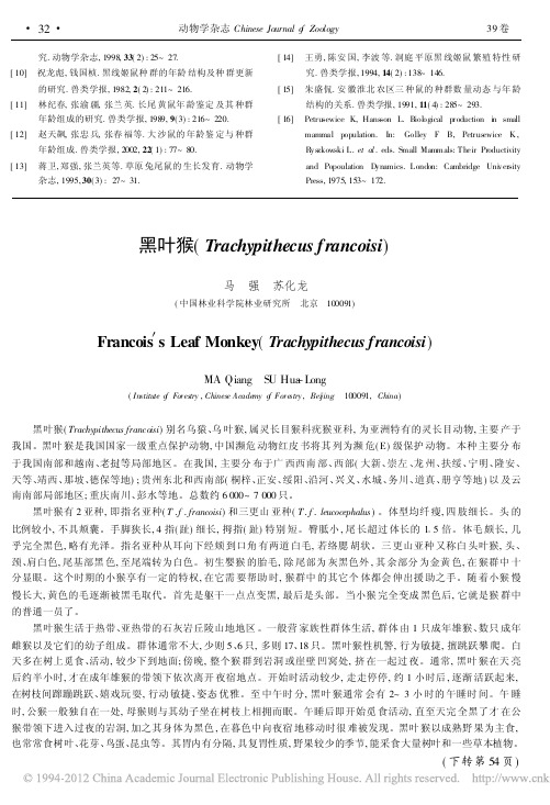黑叶猴_Trachypithecusfrancoisi_