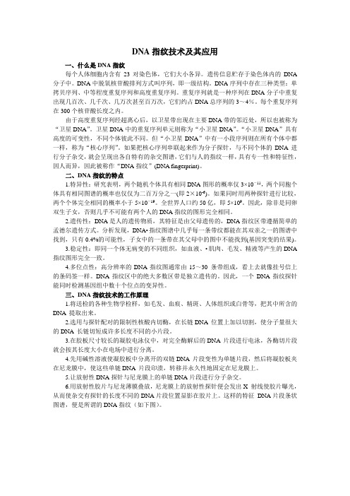 DNA指纹技术及其应用
