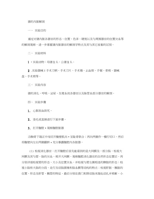 猪内脏的解剖汇总