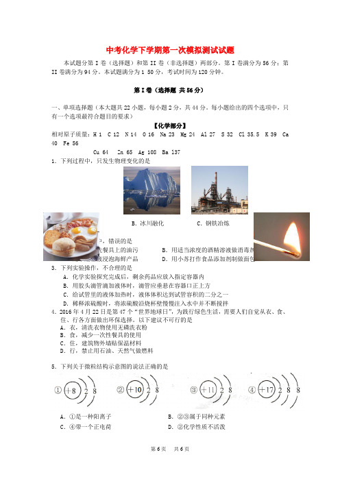 九年级化学下学期第一次模拟测试试题