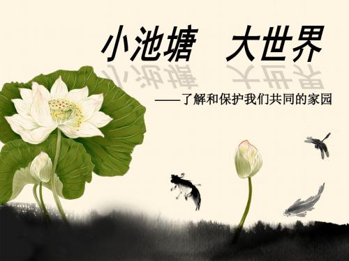小池塘大世界(2003版本)2016.10.26