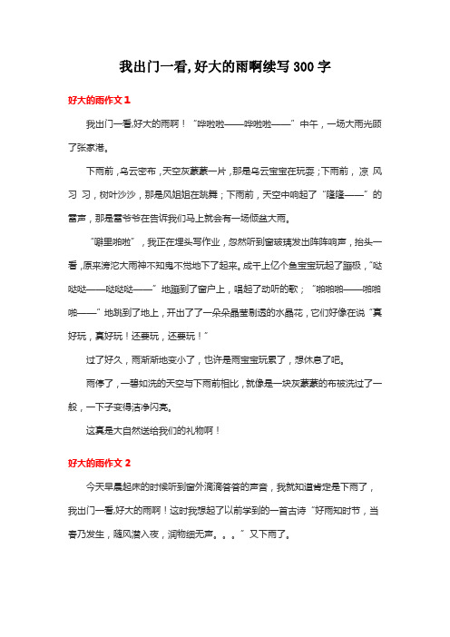 我出门一看,好大的雨啊续写300字