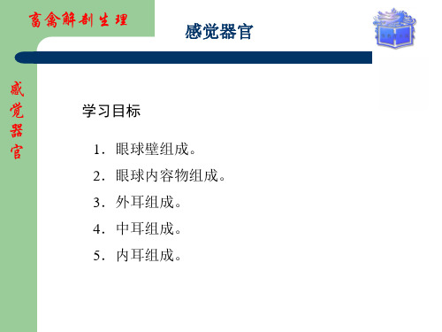 畜禽解剖生理感觉器官(课堂PPT)