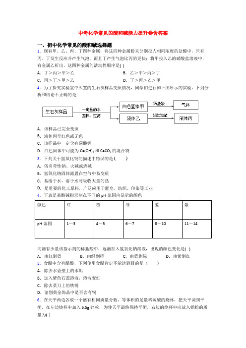 中考化学常见的酸和碱能力提升卷含答案
