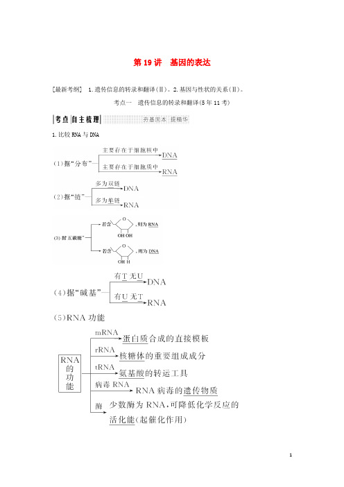 高考生物一轮复习 第六单元 遗传的分子基础 第19讲 基因的表达学案